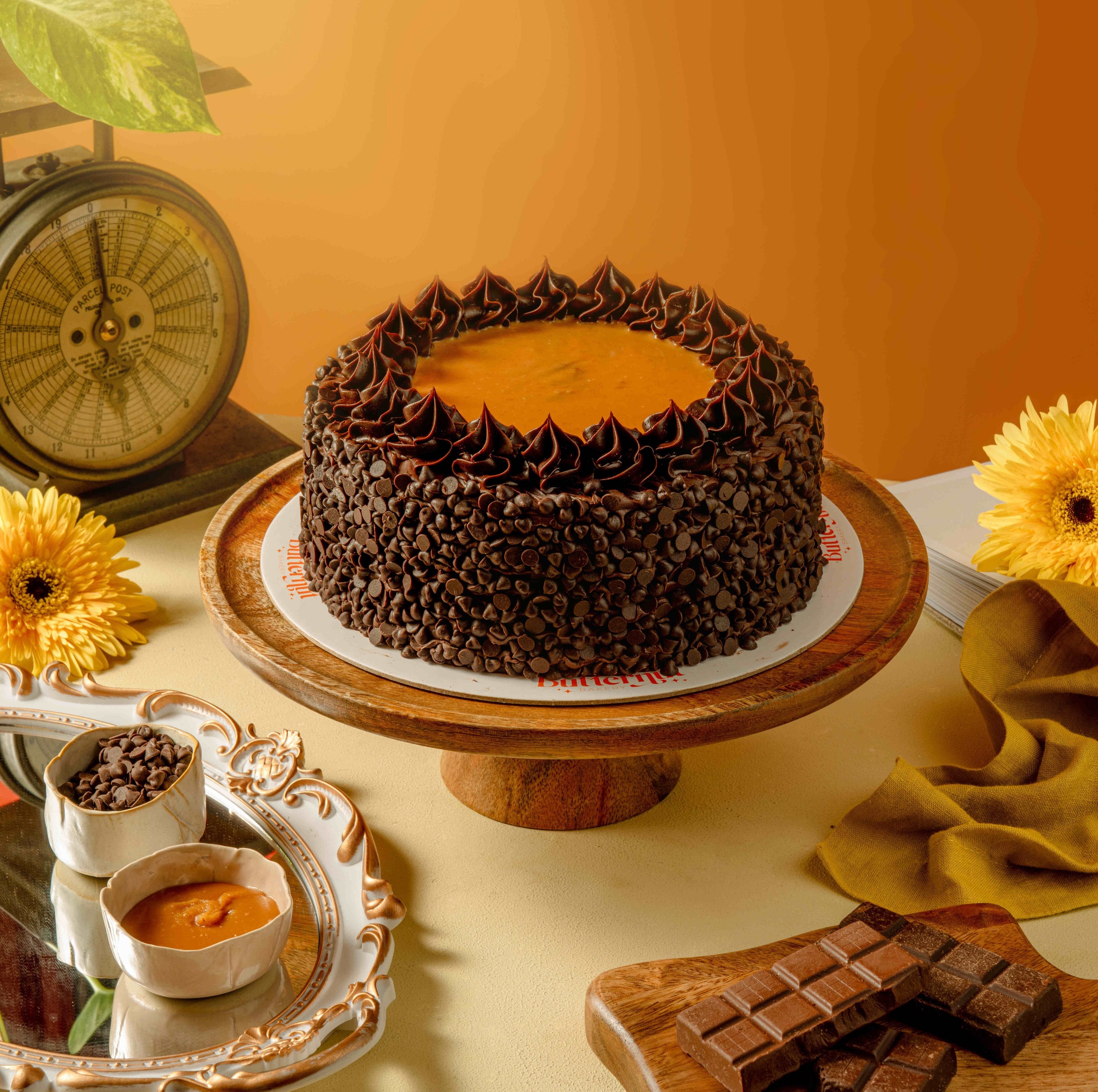 Decadent Cocoa Delight